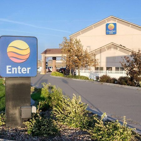 Comfort Inn Garden City Eksteriør bilde
