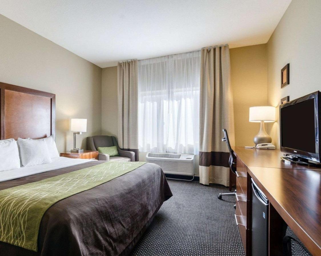 Comfort Inn Garden City Eksteriør bilde