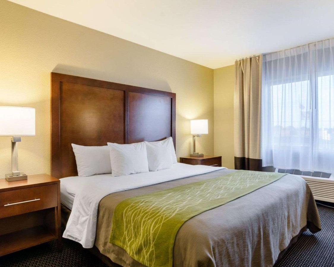 Comfort Inn Garden City Eksteriør bilde