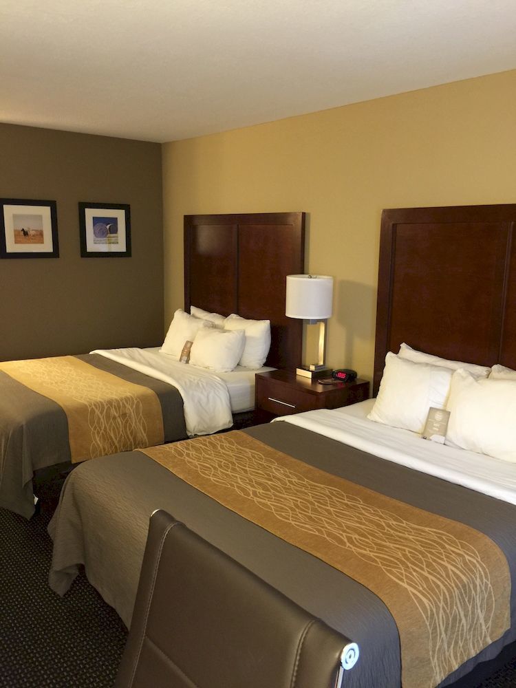Comfort Inn Garden City Eksteriør bilde